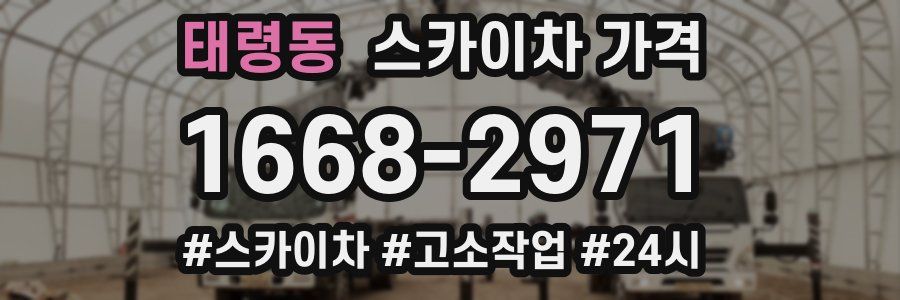 태령동 스카이차 가격