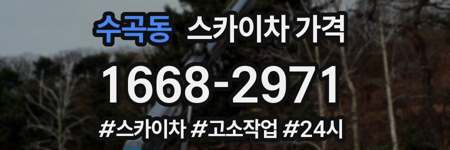 수곡동 스카이차 가격