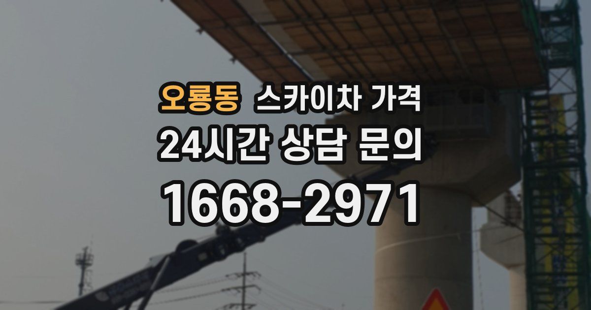 오룡동 스카이차 가격