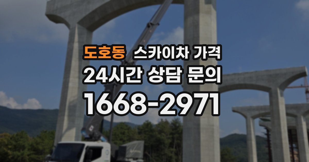 도호동 스카이차 가격