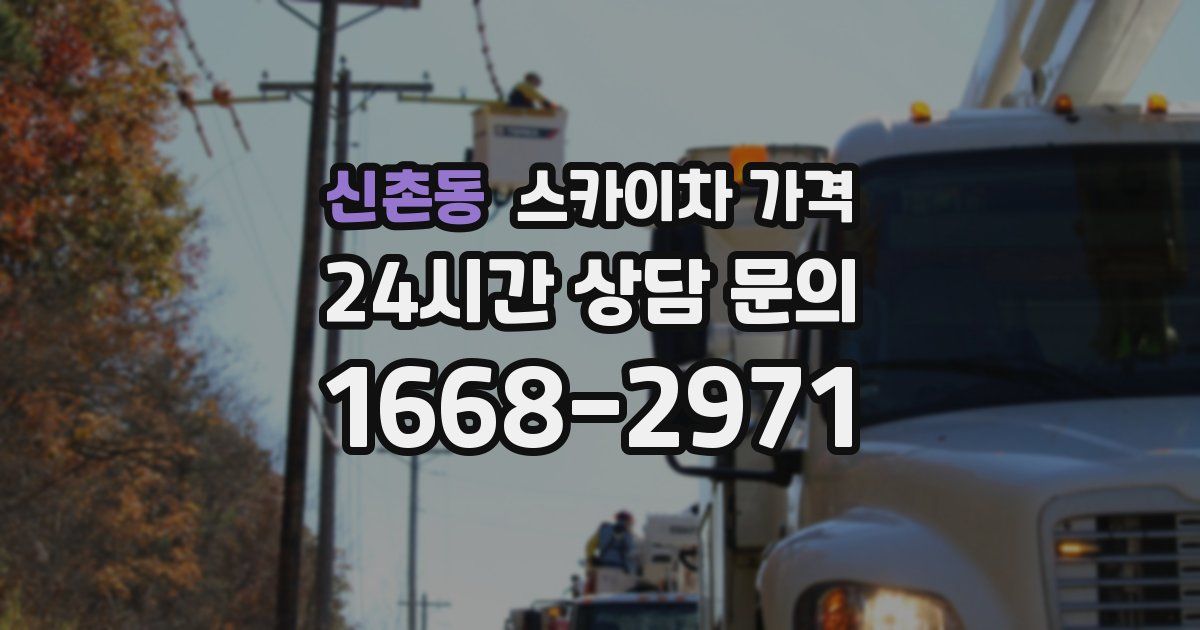 신촌동 스카이차 가격