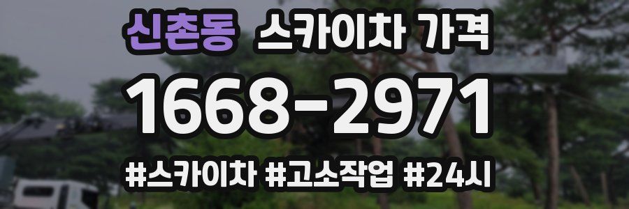 신촌동 스카이차 가격