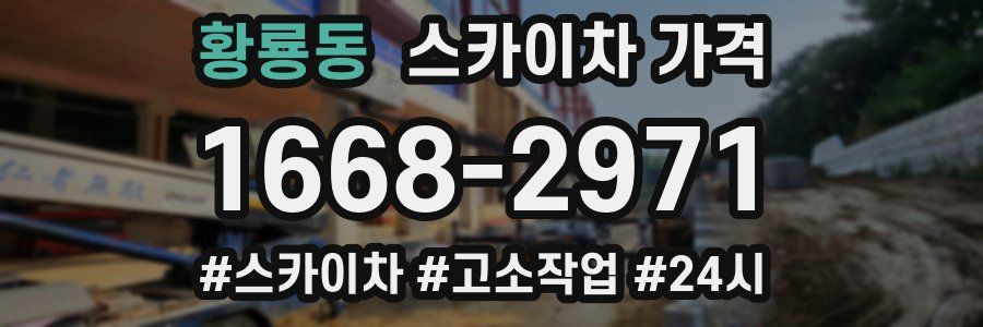 황룡동 스카이차 가격