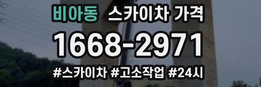 비아동 스카이차 가격