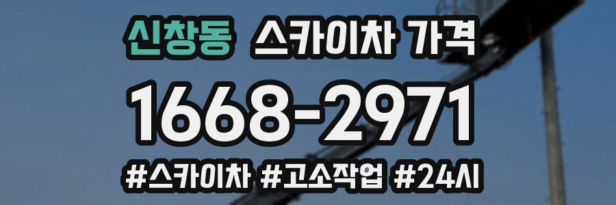 신창동 스카이차 가격