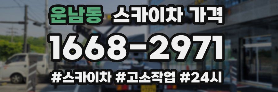 운남동 스카이차 가격