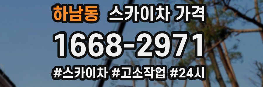 하남동 스카이차 가격