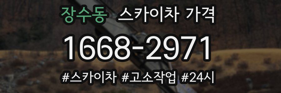 장수동 스카이차 가격