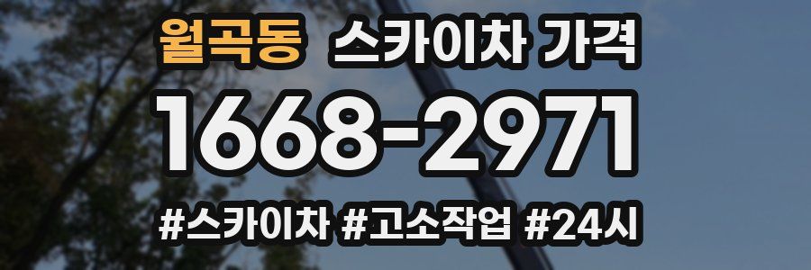 월곡동 스카이차 가격