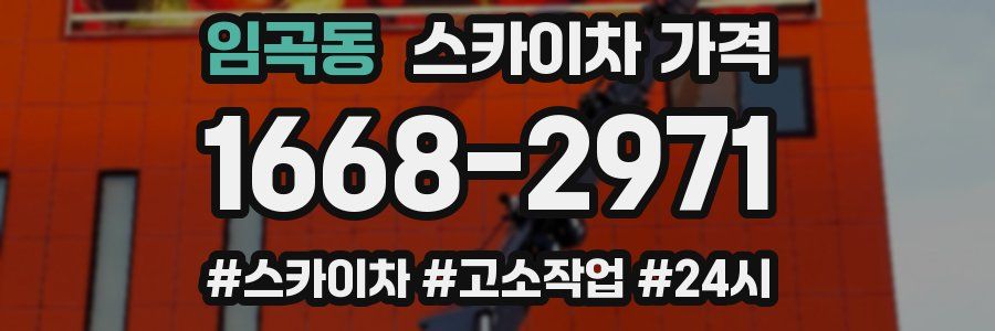 임곡동 스카이차 가격