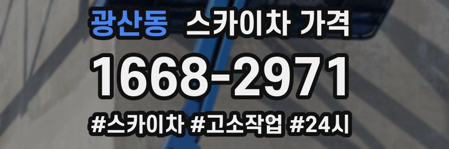 광산동 스카이차 가격