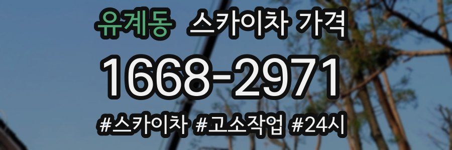 유계동 스카이차 가격