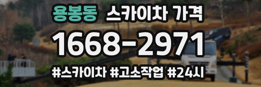 용봉동 스카이차 가격