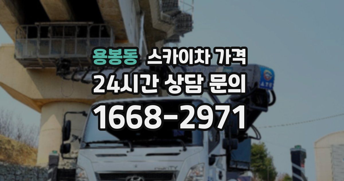 용봉동 스카이차 가격