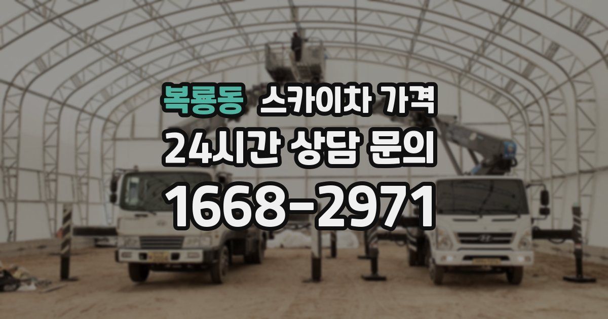 복룡동 스카이차 가격