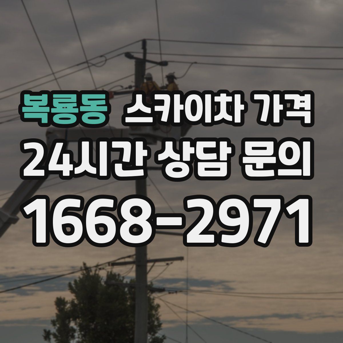 복룡동 스카이차 가격