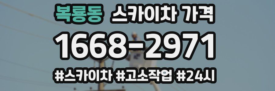 복룡동 스카이차 가격