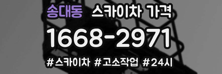 송대동 스카이차 가격