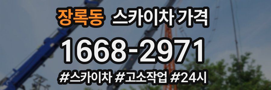 장록동 스카이차 가격