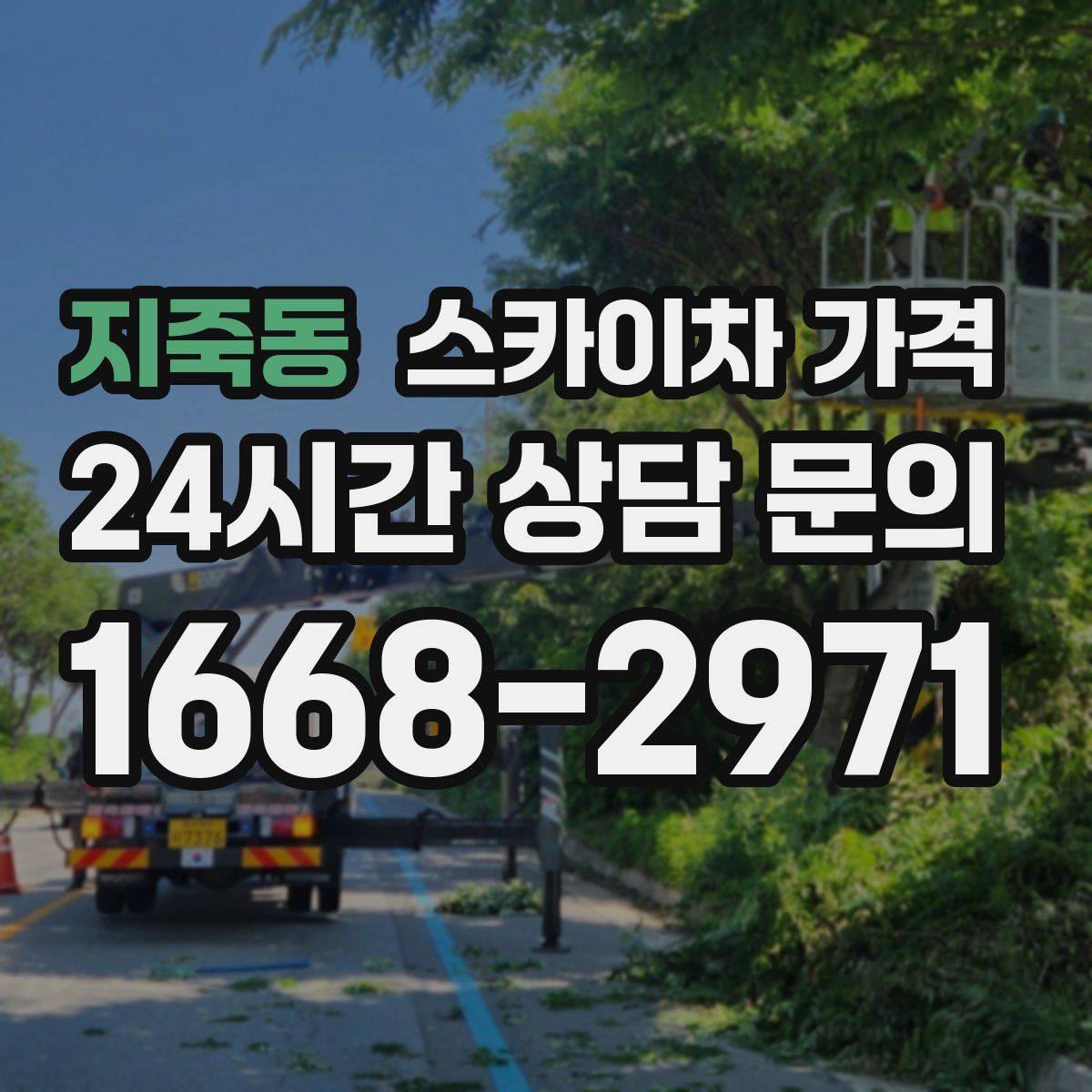 지죽동 스카이차 가격