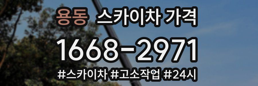 용동 스카이차 가격