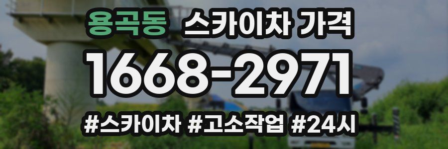 용곡동 스카이차 가격