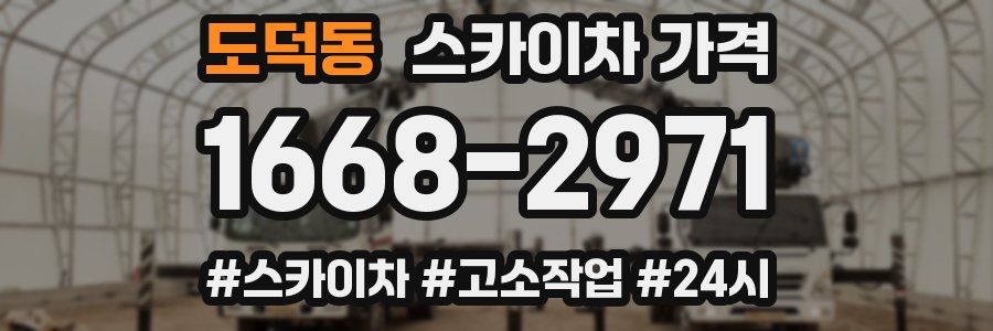 도덕동 스카이차 가격