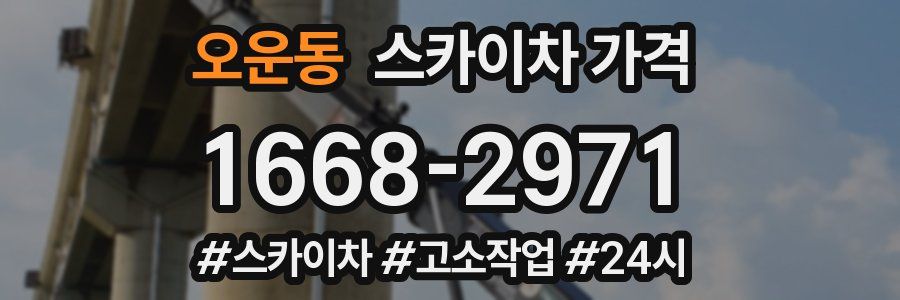 오운동 스카이차 가격