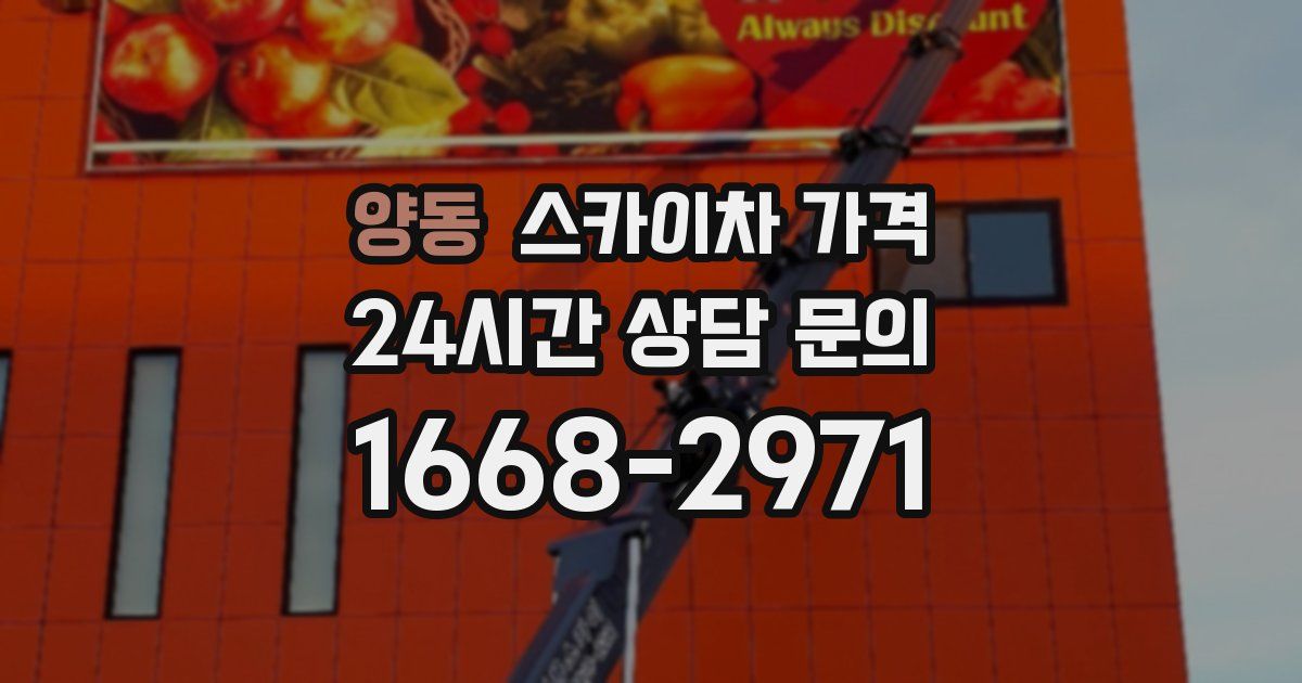 양동 스카이차 가격