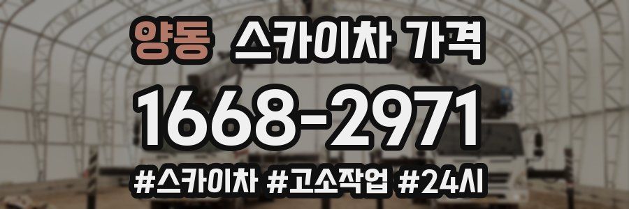 양동 스카이차 가격