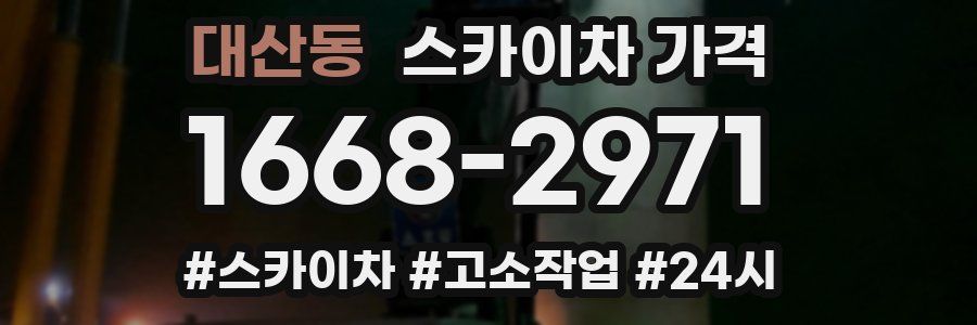 대산동 스카이차 가격