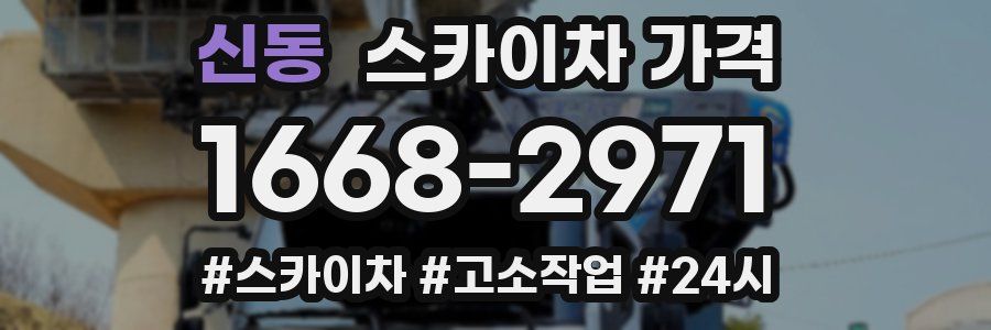 신동 스카이차 가격