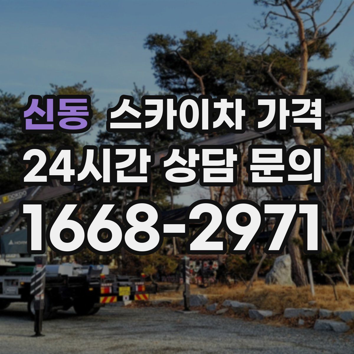 신동 스카이차 가격