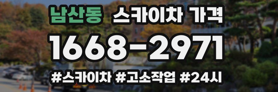 남산동 스카이차 가격