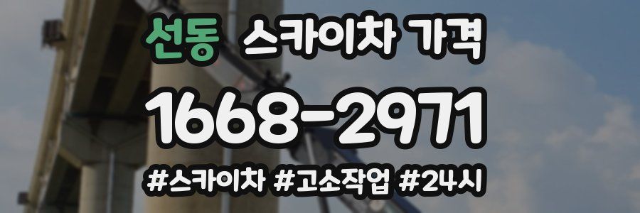 선동 스카이차 가격