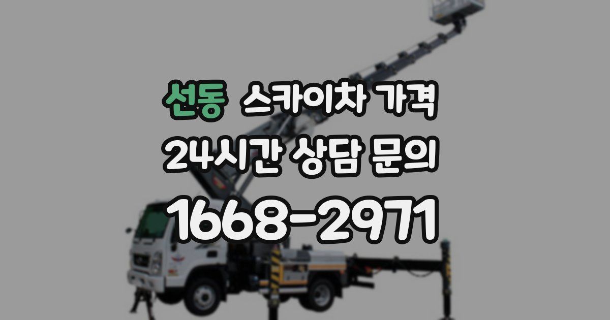 선동 스카이차 가격