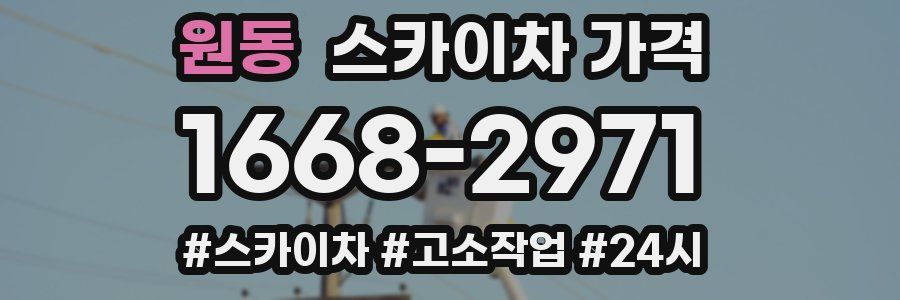 원동 스카이차 가격