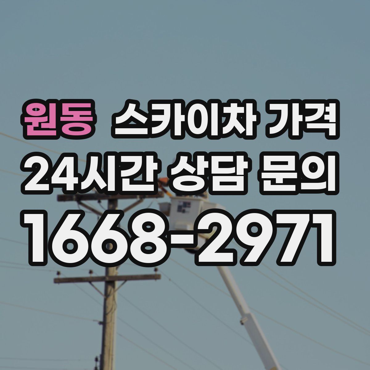 원동 스카이차 가격