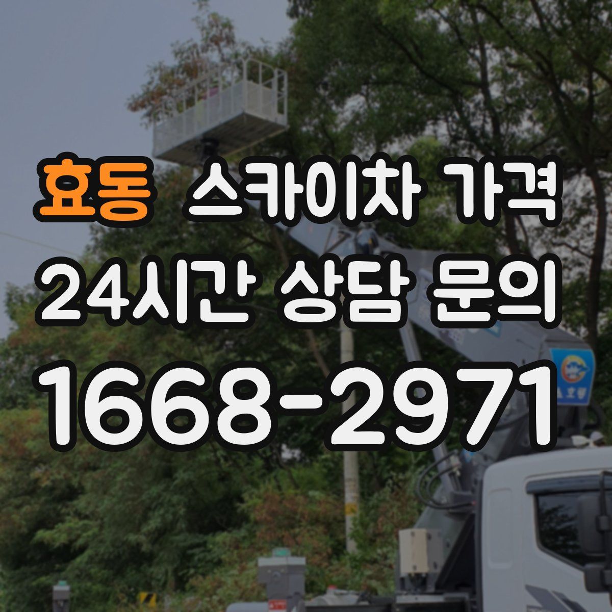 효동 스카이차 가격