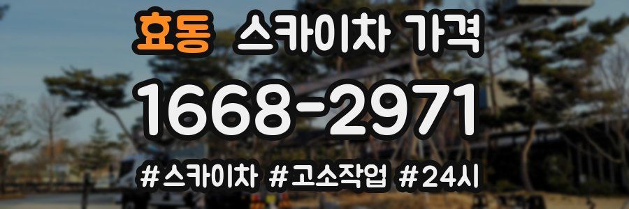 효동 스카이차 가격