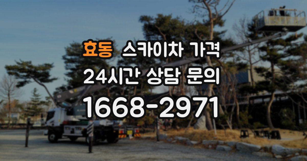 효동 스카이차 가격