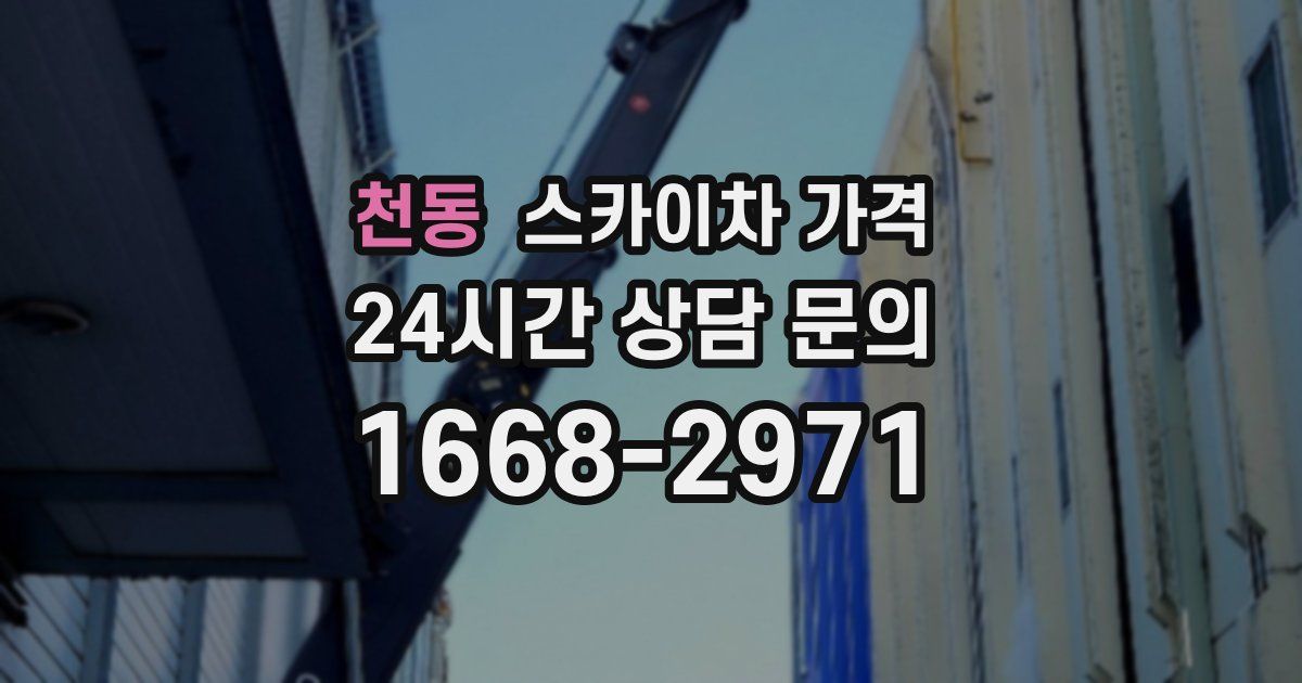 천동 스카이차 가격