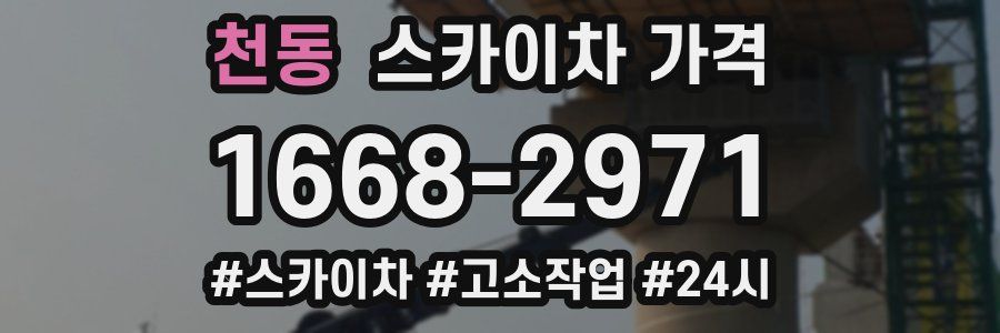 천동 스카이차 가격