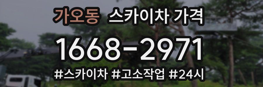 가오동 스카이차 가격