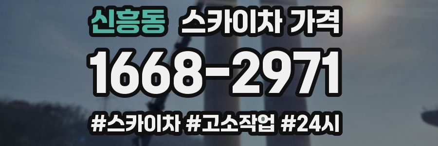 신흥동 스카이차 가격