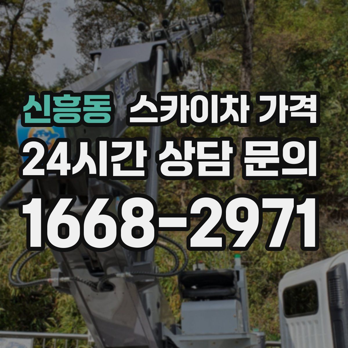 신흥동 스카이차 가격