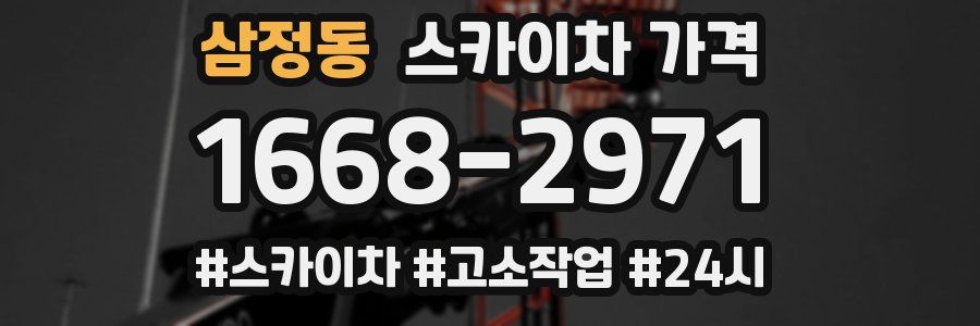 삼정동 스카이차 가격