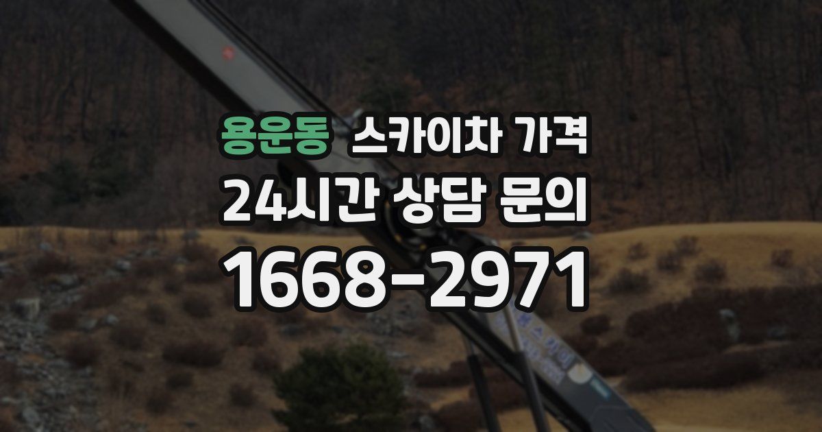 용운동 스카이차 가격