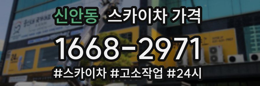 신안동 스카이차 가격