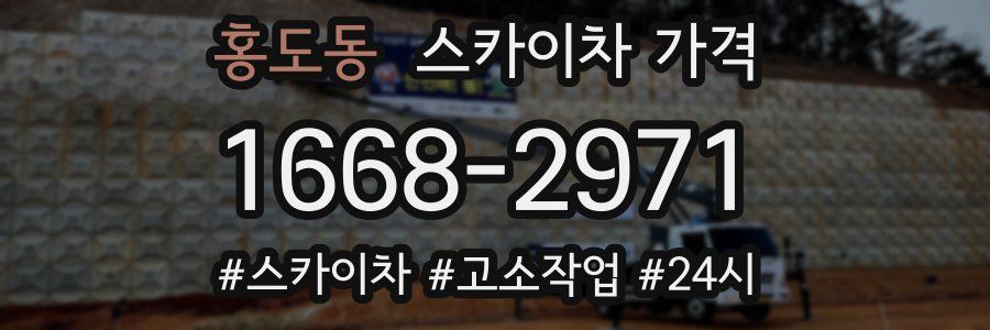 홍도동 스카이차 가격